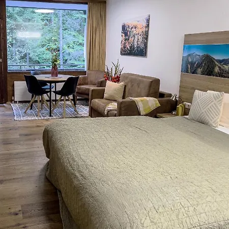 Apartment A1 *